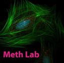 Meth Lab (feat. G-Stack)