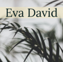 Eva David