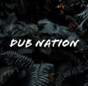 Dub Nation